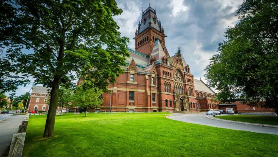 Harvard University libera más de 120 cursos para esta cuarentena