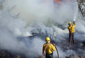 Van 11 incendios forestales en Sinaloa