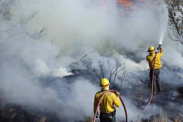 Van 11 incendios forestales en Sinaloa