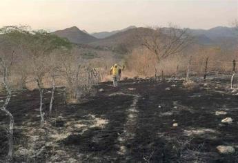 Sinaloa registró 17 incendios forestales en el 2020
