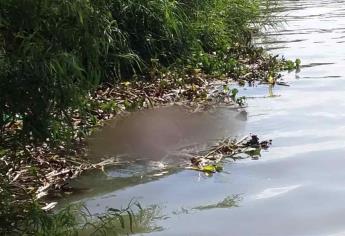 Localizan a hombre muerto en la Bocatoma de San Blas