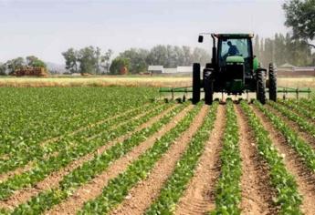 Sinaloa pide dos ciclos agrícolas sin restricciones de agua