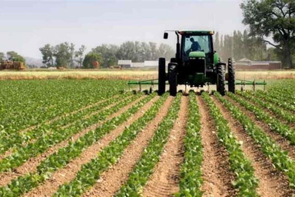 Temporada agrícola en Sinaloa, al 68 %