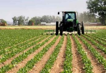 PEF 2023, desfavorable para agricultura de Sinaloa