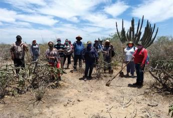 Integrarán Comité Municipal de Búsqueda de Personas Desaparecidas en Ahome