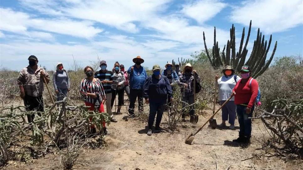 Integrarán Comité Municipal de Búsqueda de Personas Desaparecidas en Ahome