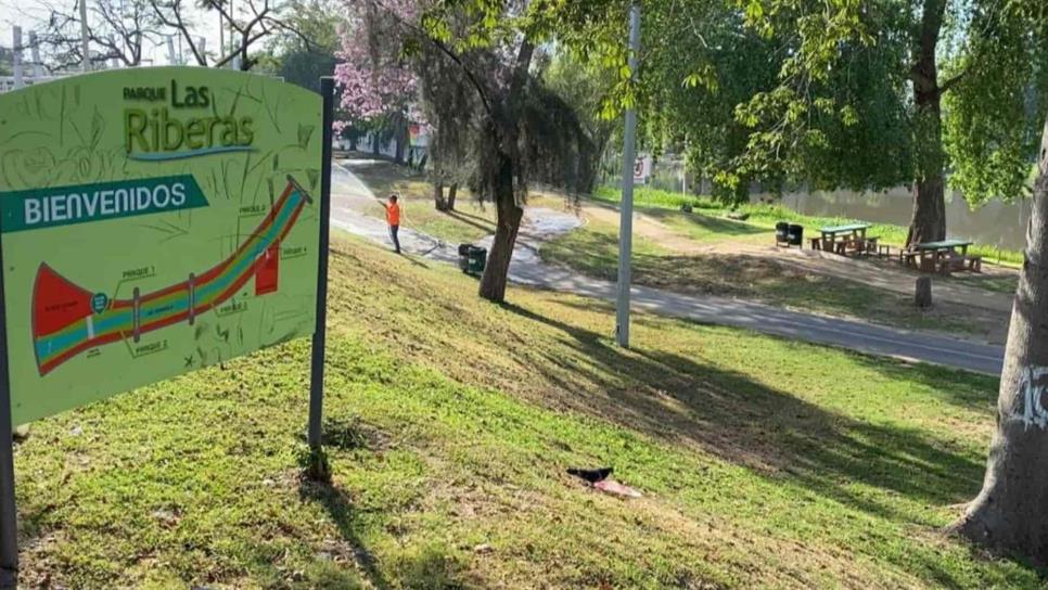 ¡A pintar! Culiacanenses tendrán la oportunidad de pintar la Isla de Orabá el próximo domingo