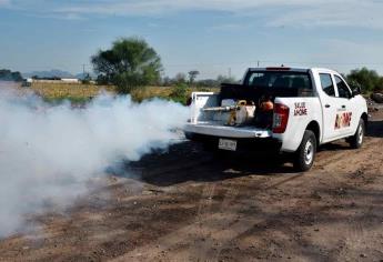 Se fumigarán cuatro colonias en Los Mochis