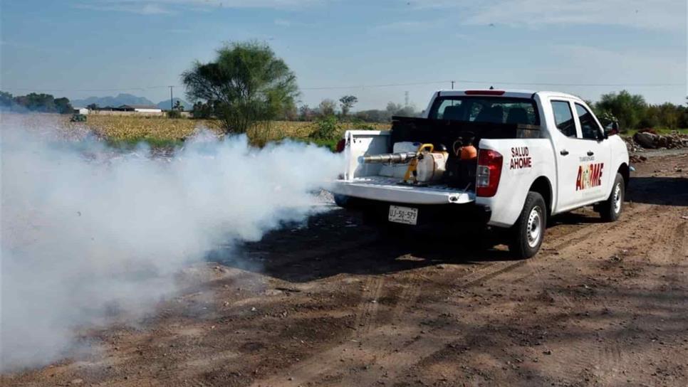 Se fumigarán cuatro colonias en Los Mochis