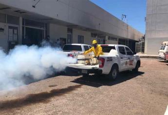 Fortalecen fumigaciones en colonias y sindicaturas de Ahome