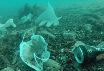 Alertan que mascarillas y guantes tardarán años en degradarse