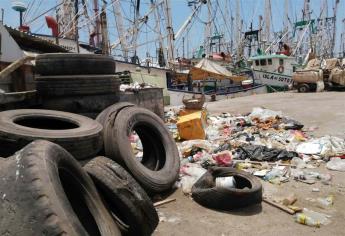 Camarón de Mazatlán corre riesgo de ser vetado por EUA, advierten