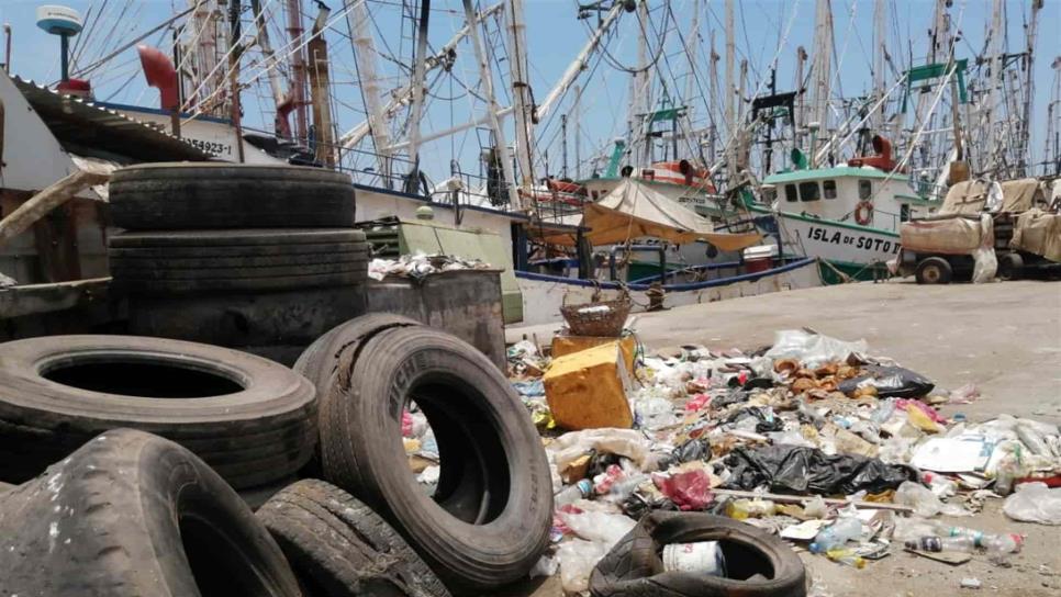 Camarón de Mazatlán corre riesgo de ser vetado por EUA, advierten