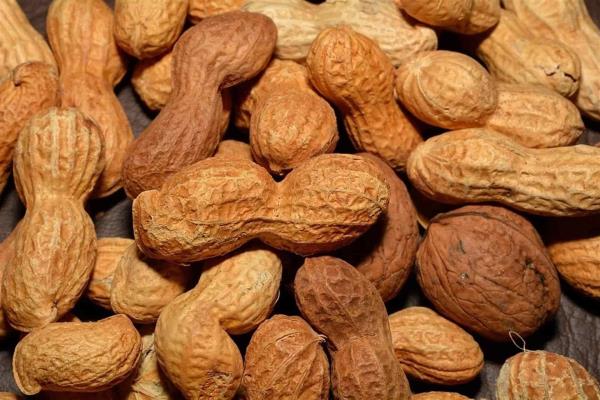 Recomiendan comer cacahuates para combatir la ansiedad