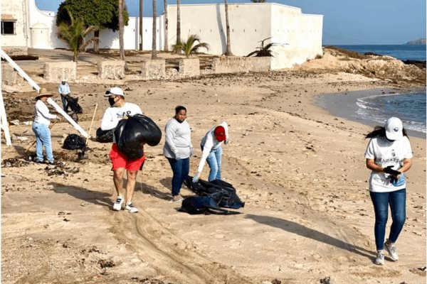 Retiran de la zona de playa Los Pinitos 500 kilos de algas y basura, en Mazatlán