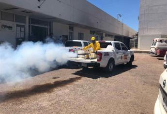 Fumigarán contra los moscos en tres colonias de Los Mochis este viernes