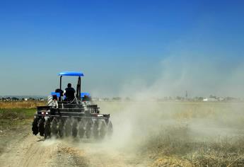 Con “frente legislativo” se pueden conseguir recursos para el campo ante la SHCP: Iván Ayala