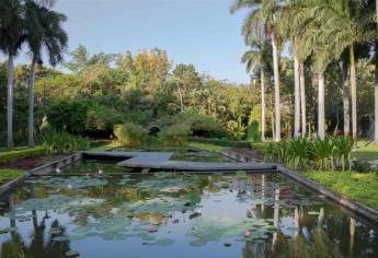 Invitan a vivir el Jardín Botánico de Culiacán desde casa