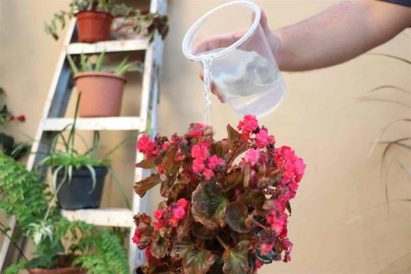 Incrementa 30% el consumo de agua en Mazatlán