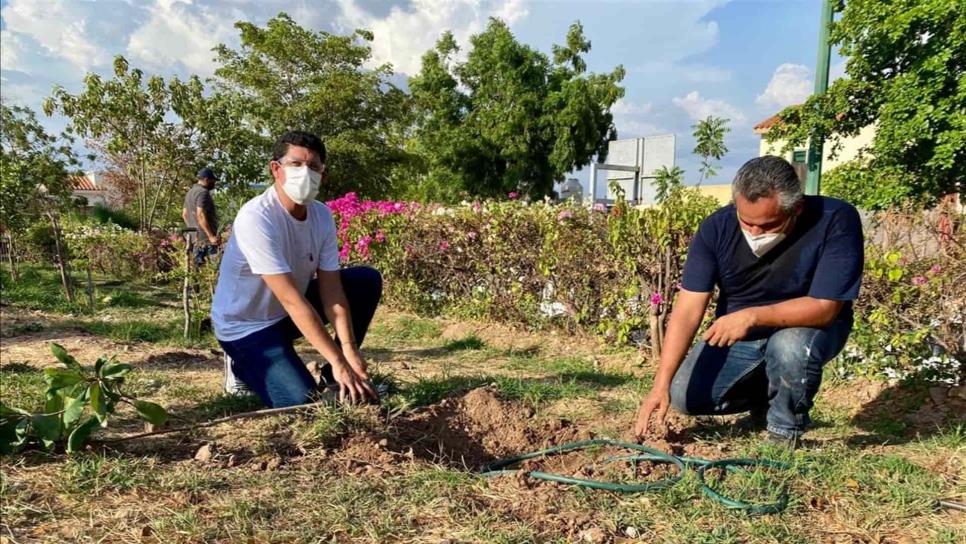 Apoya Sedesu arborización del parque Diamante en Villas del Humaya