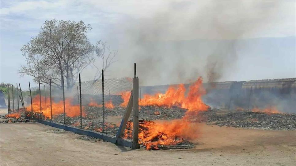 Se incendia bodega de materiales rústicos y otra de tarimas