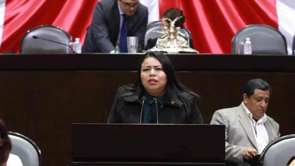 Yadira Marcos asegura que Reforma a la Ley de Industria Eléctrica traerá bajas tarifas