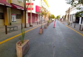 Instalan 105 macetas en el centro de Culiacán para privilegiar al peatón
