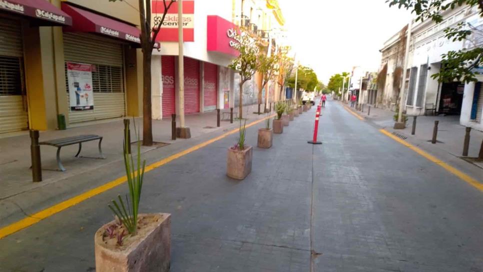 Instalan 105 macetas en el centro de Culiacán para privilegiar al peatón