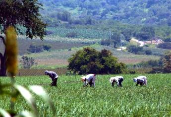 PEF-2023 debe atender una crisis de alimentos en México: Caades