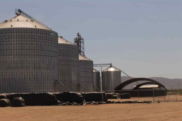 Bodegas no están preparadas para integrar expedientes: SAyG