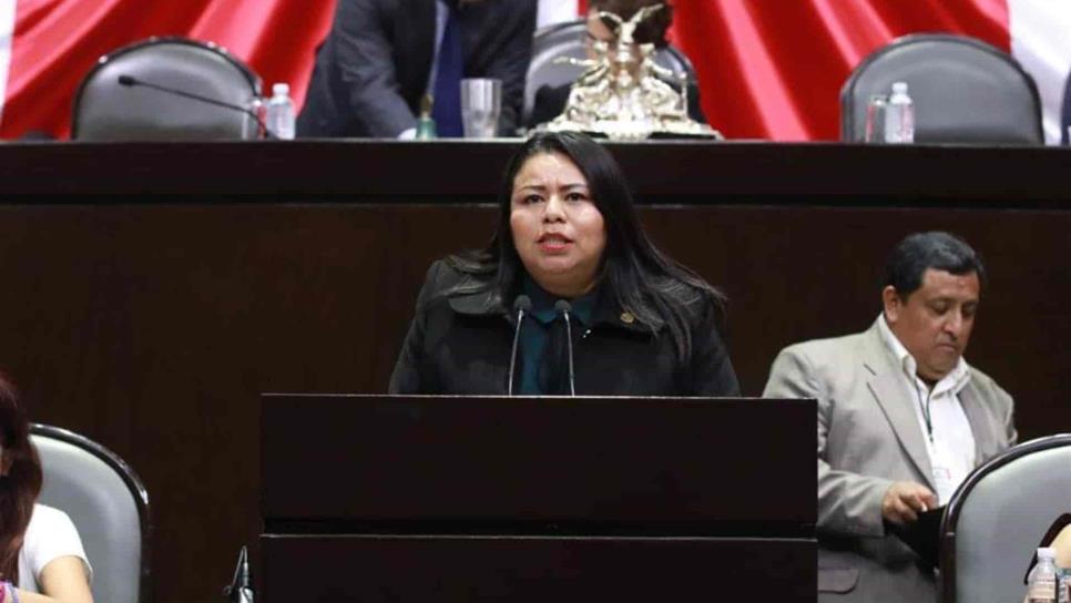 Por fallas en la energía, desde el Congreso gestionarán atención inmediata CFE Por fallas en la energía, desde el Congreso gestionarán atención inmediata CFE
