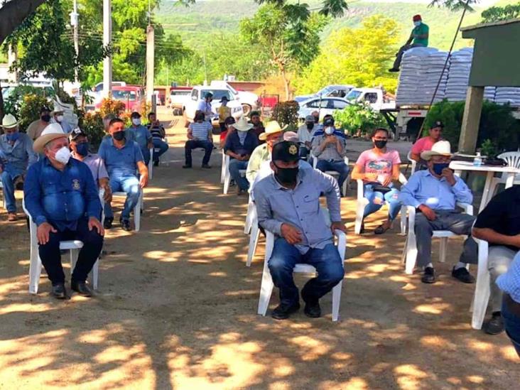 Sinaloa por entregar semilla para 50 mil hectáreas de temporal Sinaloa por entregar semilla para 50 mil hectáreas de temporal