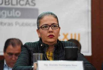 Carece de sustento solicitud para destituir a diputado: Graciela Domínguez