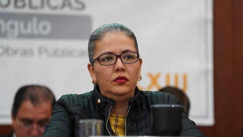 Carece de sustento solicitud para destituir a diputado: Graciela Domínguez