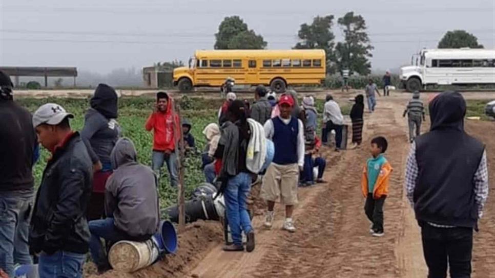 Pagarán $50 mil a jornaleros que fueron «esclavizados»