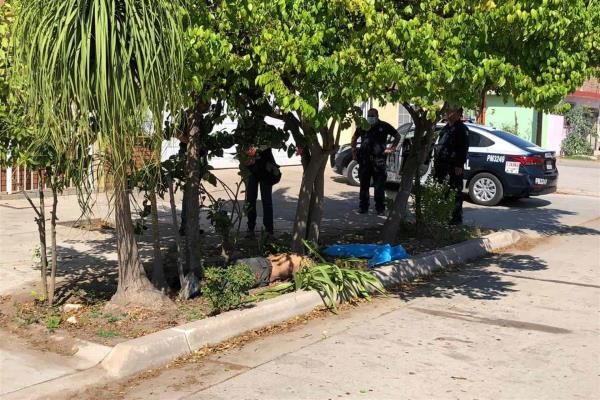 Localizan muerto a hombre en la banqueta de una casa en la Tabachines 1