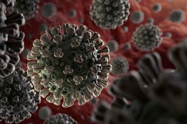 Alerta la OMS que quizá nunca haya solución ante el coronavirus