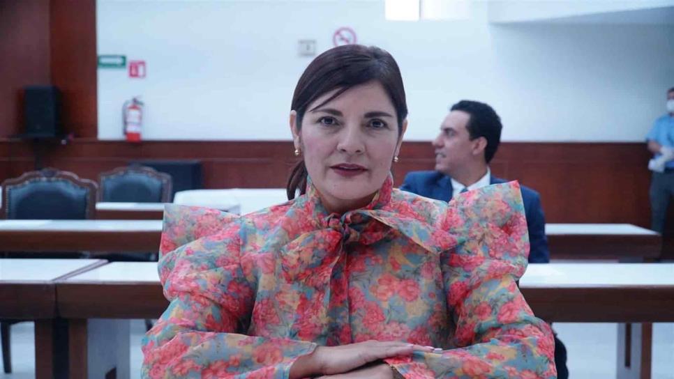 Primero que informen a la ciudadanía y después realicen la consulta: diputada