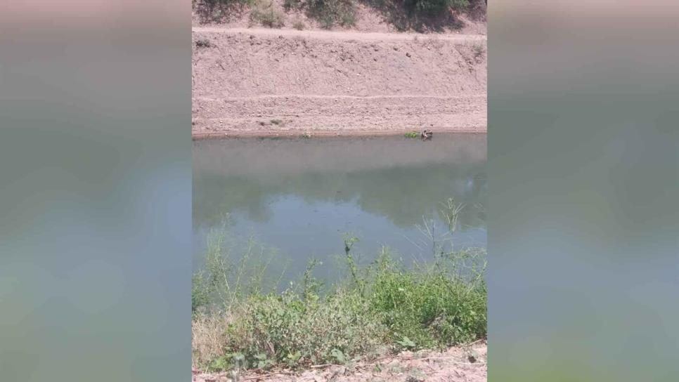 Por contaminación del río, vecinos de La Palma amenazan con tomar carretera