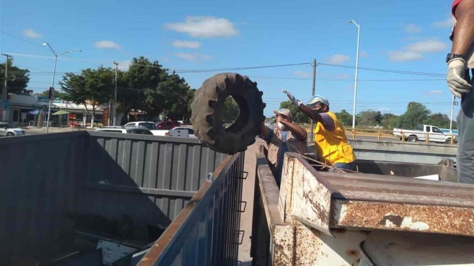 Cada viernes hay jornadas de descacharrización en Mazatlán