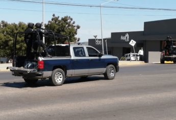 Bajan índices delictivos en Mazatlán: Flores Segura