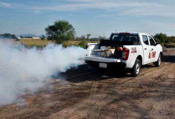 Refuerza acciones de fumigación contra moscos en colonias y ejidos