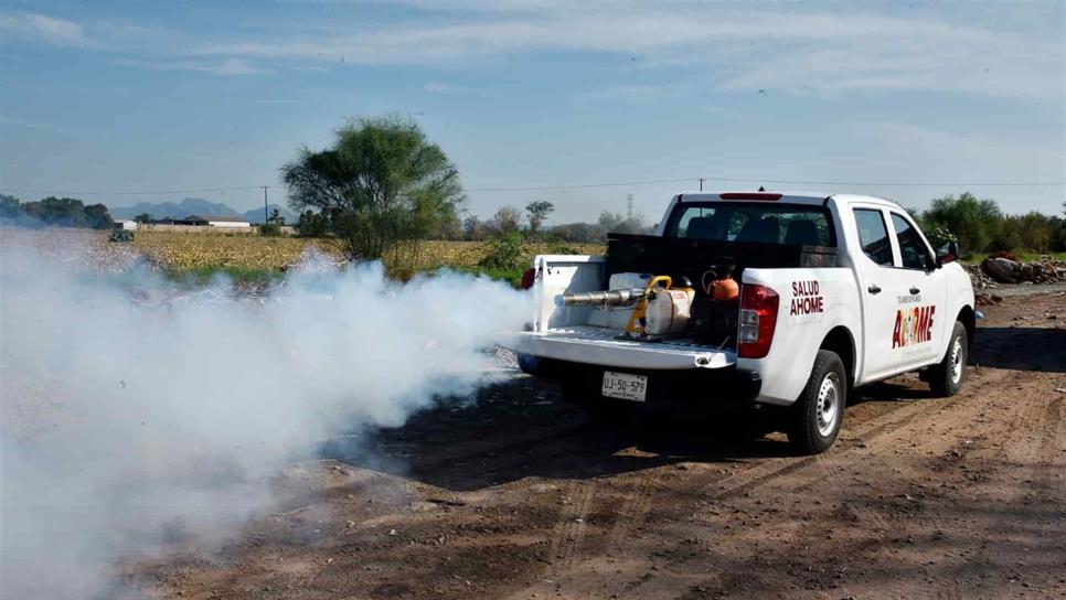 Ahome supera los 100 casos activos de dengue