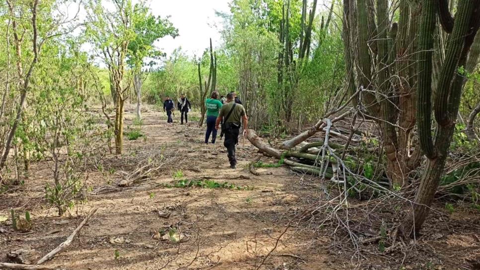 Rastreadoras de El Fuerte localizan osamenta en San Blas