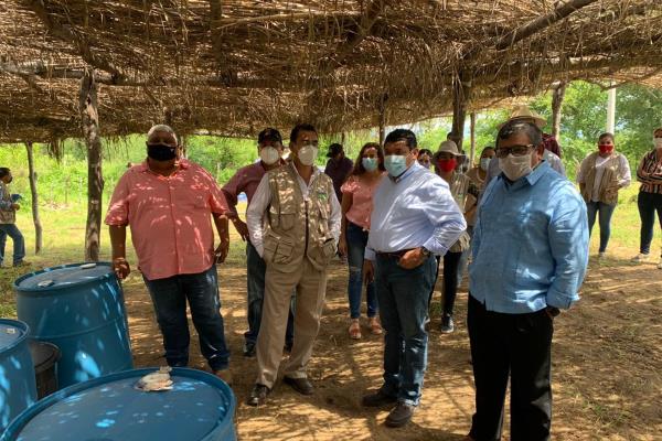 Evalúan avances del programa “Sembrando Vida” en Sinaloa