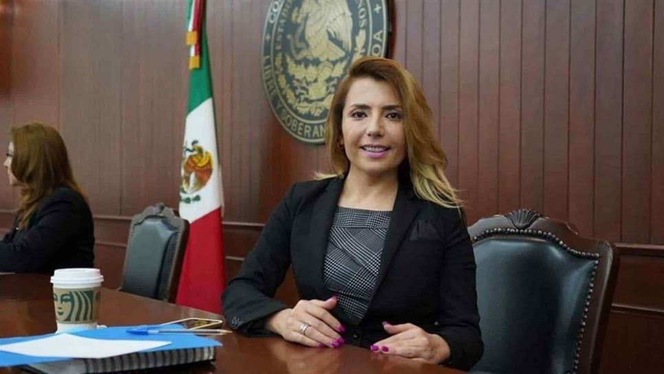 Necesarias denuncias ciudadanas por quema de soca: diputada