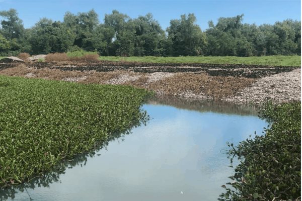 Vecinos del Téroque Viejo y El Mezquital denuncian afectación por contaminación del río Fuerte
