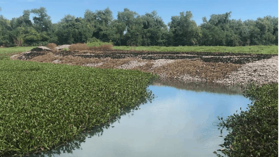 Vecinos del Téroque Viejo y El Mezquital denuncian afectación por contaminación del río Fuerte