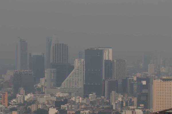 Científicos alertan que el ozono ya amenaza la biodiversidad de todo el mundo