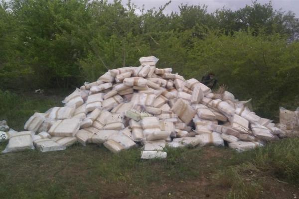 En noviembre, en Sinaloa se aseguraron casi 28 mil pastillas de fentanilo y 65 plantíos de mariguana